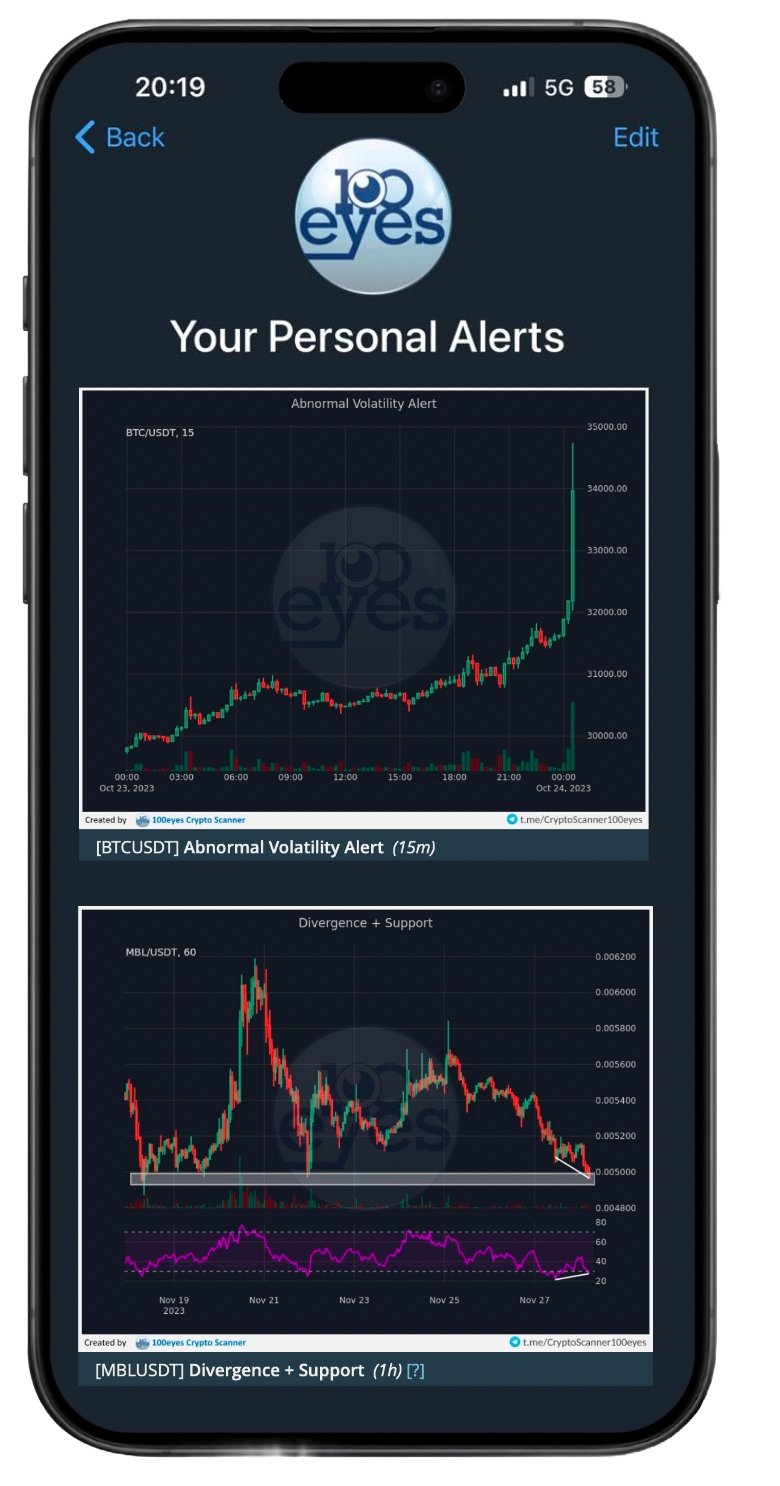 An example of the chat you will see once you sign up with the 100eyes crypto or forex scanner