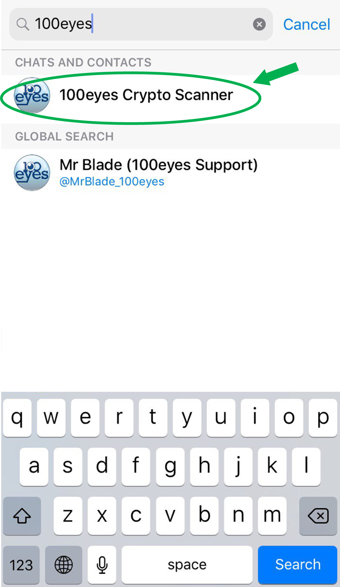 This is how you need to search on Telegram for the 100eyes bot